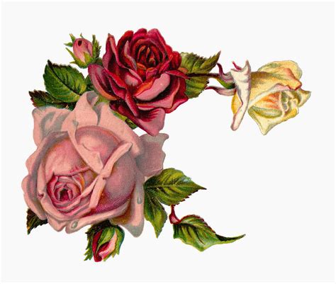 Free Rose Corner Cliparts, Download Free Rose Corner Cliparts png images, Free ClipArts on ...