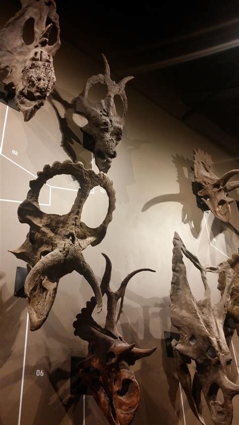 The Natural History Museum of Utah! : r/Dinosaurs