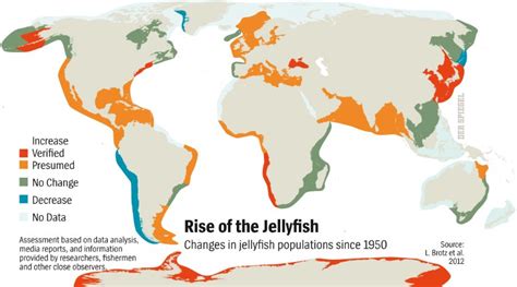 mapping jelly fish | Musings on Maps