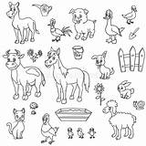 Farm Animals For Coloring Book Stock Vector  Illustration Of Duck sketch template