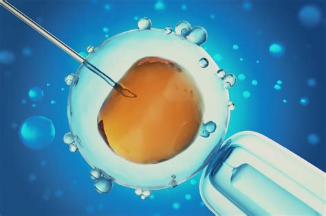 Premium Photo | 3d illustration of artificial insemination or in-vitro fertilization of an egg ...