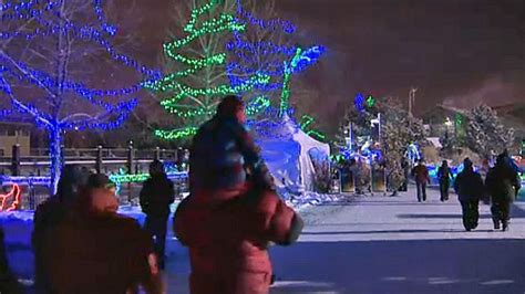 Annual event lights up the night at the Calgary Zoo | CTV News