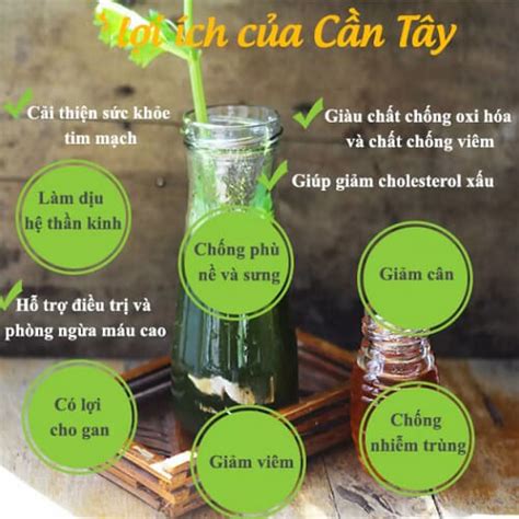 Cần tây - Dược liệu vàng trong điều trị bệnh