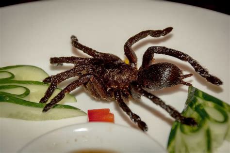 Edible Spiders: Eating Deep Fried Tarantula In Cambodia| Edible Tarantula