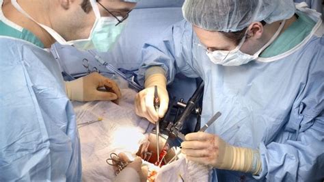 Less-Than-Perfect Kidneys Can be Successfully Used For Transplants, Study Shows