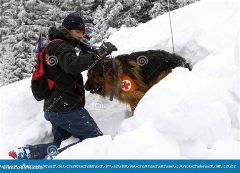 Rescuer from the Mountain Rescue Service Editorial Stock Image - Image ...