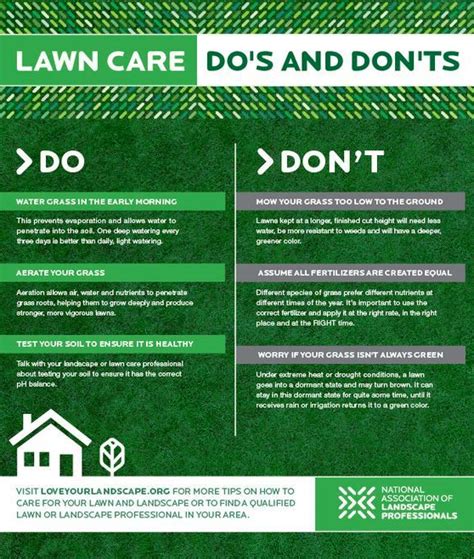 Lawn Care Tips For Ensuring the Best Look of Your Lawn – Landscapes For You