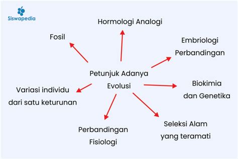 Petunjuk dan Bukti Adanya Evolusi | Siswapedia