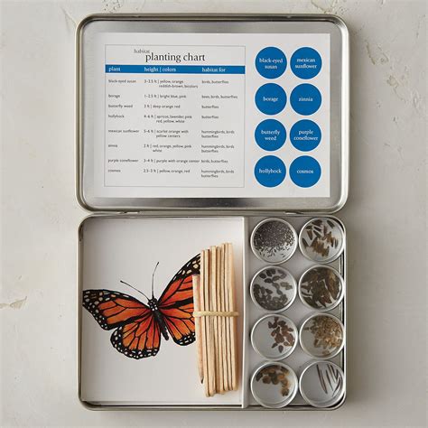 Butterfly Garden Seed Kit | Butterfly garden kit, Butterfly garden design, Butterfly garden