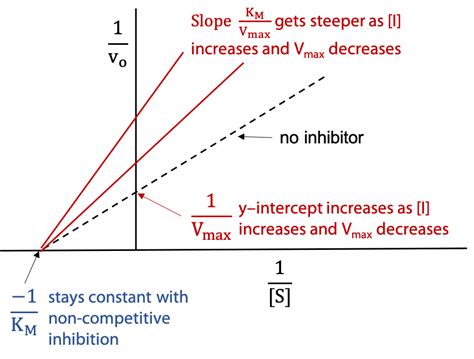 Experimental Enzyme Kinetics; Linear Plots and Enzyme Inhibition – BIOC*2580: Introduction to ...