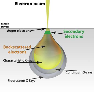 Scanning Electron Microscopy - Nanoscience Instruments