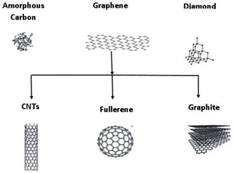 Representation of carbon allotropes. | Download Scientific Diagram