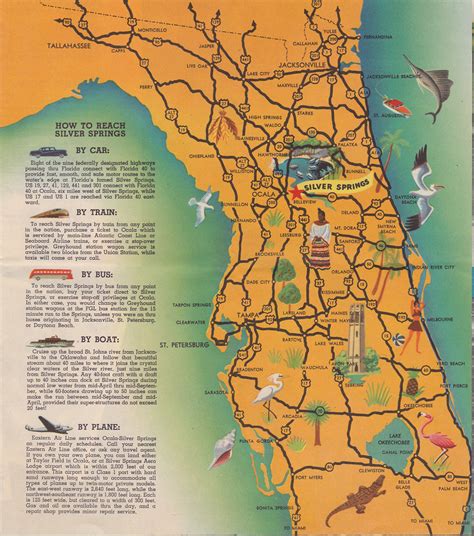 Silver Springs Florida Map: A Guide To Exploring The Natural Beauty Of ...