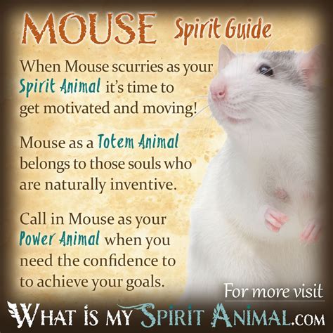 Mouse Symbolism & Meaning | Spirit, Totem & Power Animal
