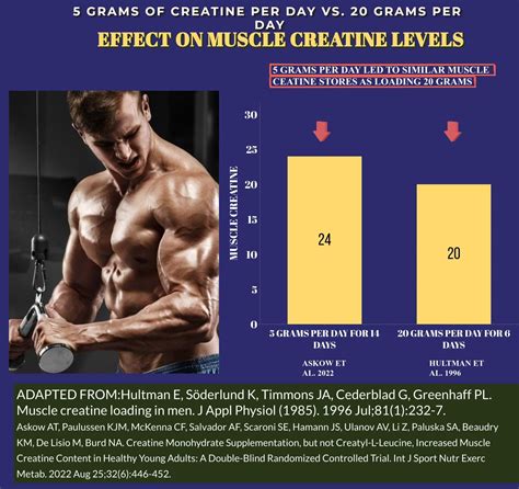 IS CREATINE LOADING PHASE AND CREATINE TIMING NECESSARY FOR MUSCLE GAIN ...