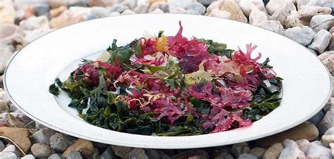 Japanese Seaweed Salad - Nutritionist Choice