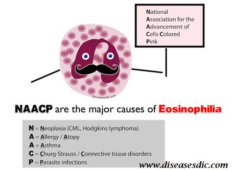 What happens if your eosinophils are high – Bovenmen Shop