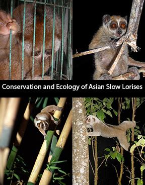 Announcing New Edited Volume - Conservation and Ecology of Asian Slow ...