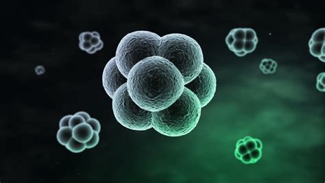 Animation ,Cell Blue, Human Cell, Animal Cell. 3D Rendering Stock Footage Video 15986068 ...