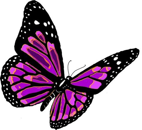 Butterfly PNG Transparent Image PNG - High quality Image For Free Here ...