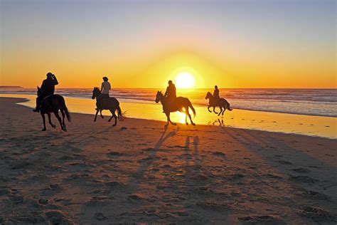 Horse riding on the beach at sunset Photograph by Nisangha Ji - Pixels