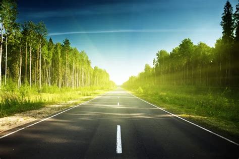 Empty road in jungle of Seychelles islands Stock Photo by ©Iakov 14148697