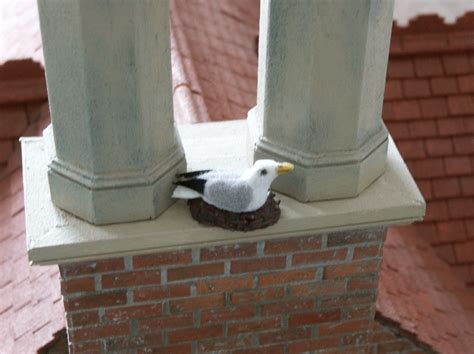 SEAGULL ON NEST