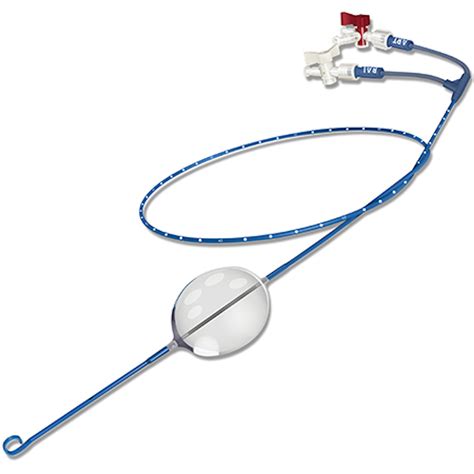 Emergency Medical Critical Care Rapid and Immediate Hemorrhage Control - The ER-REBOA Catheter ...