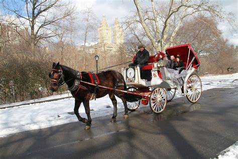 Carriage Ride in Central Park by Official NYC Horse Carriage Ride company!