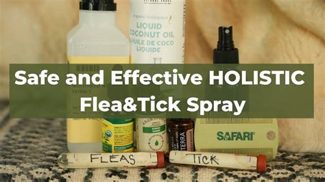 How to Make Your Own Natural Flea and Tick Spray for Pets - Veterinary ...