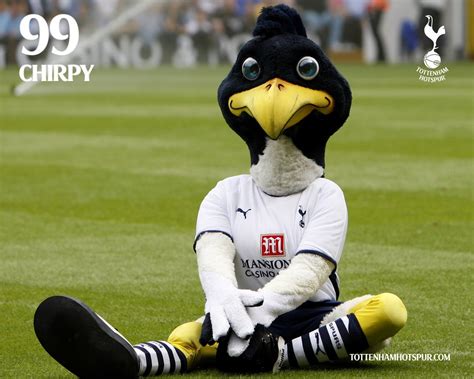 eyes, Blue eyes, Chirpy, Tottenham Hotspur, Tottenham, Mascot ...