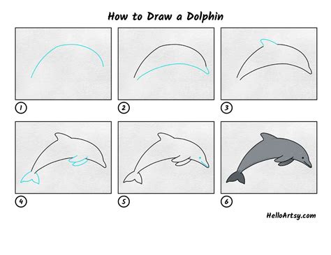 How to Draw a Dolphin - HelloArtsy