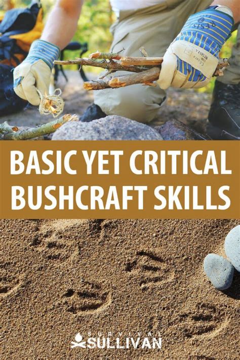 25 Bushcraft Skills to Survive in the Wild | Survival Sullivan | Bushcraft skills, Bushcraft, Skills