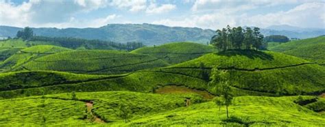 8 Places to Visit in Kottayam Which Considered as Peaceful Tourist Destination of Kerala