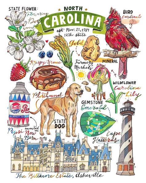 North Carolina Print State Symbols Illustration State Art - Etsy ...