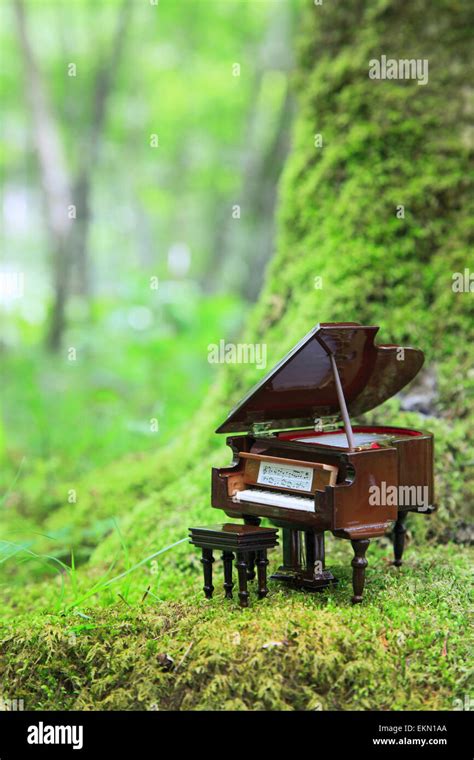 Grand piano nature hi-res stock photography and images - Alamy