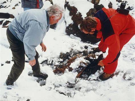 Scientists Reconstruct the Story of Ötzi, the Murdered Iceman - Archaeology Worlds