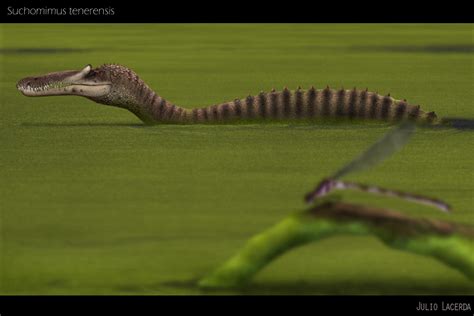 The Casual Paleoartist: Suchomimus tenerensis