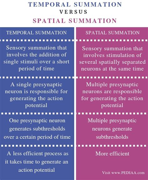 What is the Difference Between Temporal and Spatial Summation - Pediaa.Com