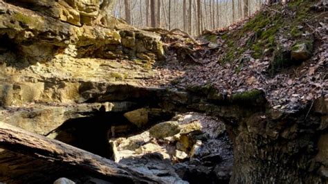 11 Best Caves in Indiana You can Explore [Update 2024]