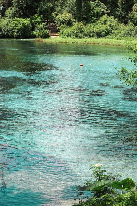 10 Activities to do at Rainbow Springs State Park