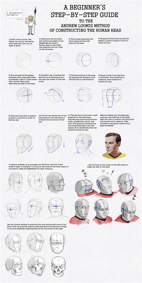 Loomis Method: A Beginner's guide WIP by SeaQuenchal | Loomis method ...