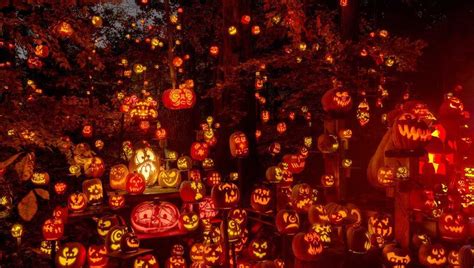 Jack O' Lantern Spectacular at Iroquois Park: Tickets on sale for 2021