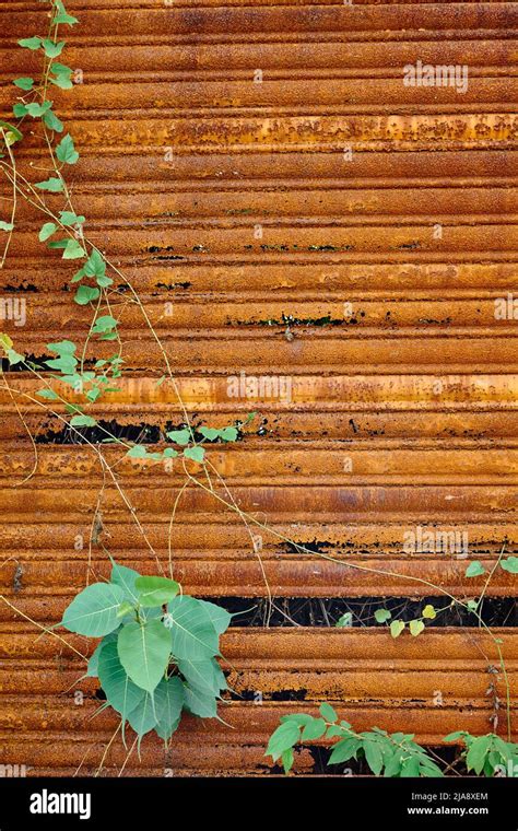 Rust Metal door texture Stock Photo - Alamy