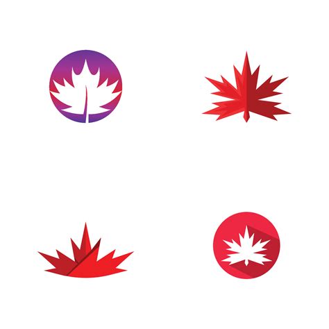 Maple leaf vector illustration 9966076 Vector Art at Vecteezy