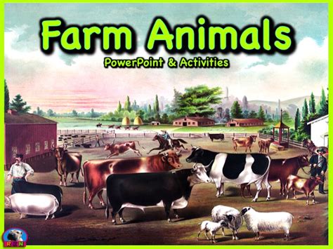 Farm Animals - PowerPoint & Activities | Teaching Resources