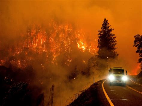 California declara estado de emergencia por incendios forestales | Independent Español