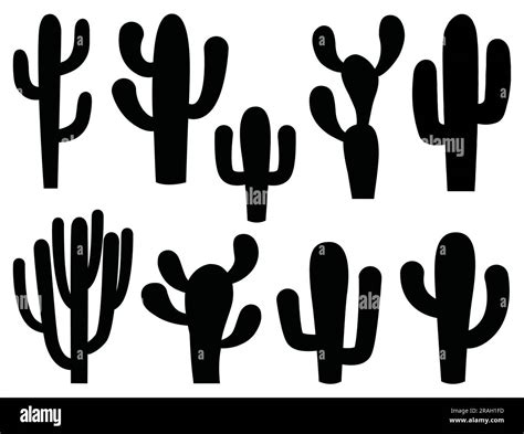 Set of Cactus Silhouette Stock Vector Image & Art - Alamy