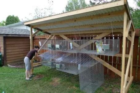 7-rabbit-hutch-ideas-and-designs - Homestead & Survival