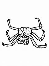 Printable King Crab Coloring Page  Free Pages sketch template
